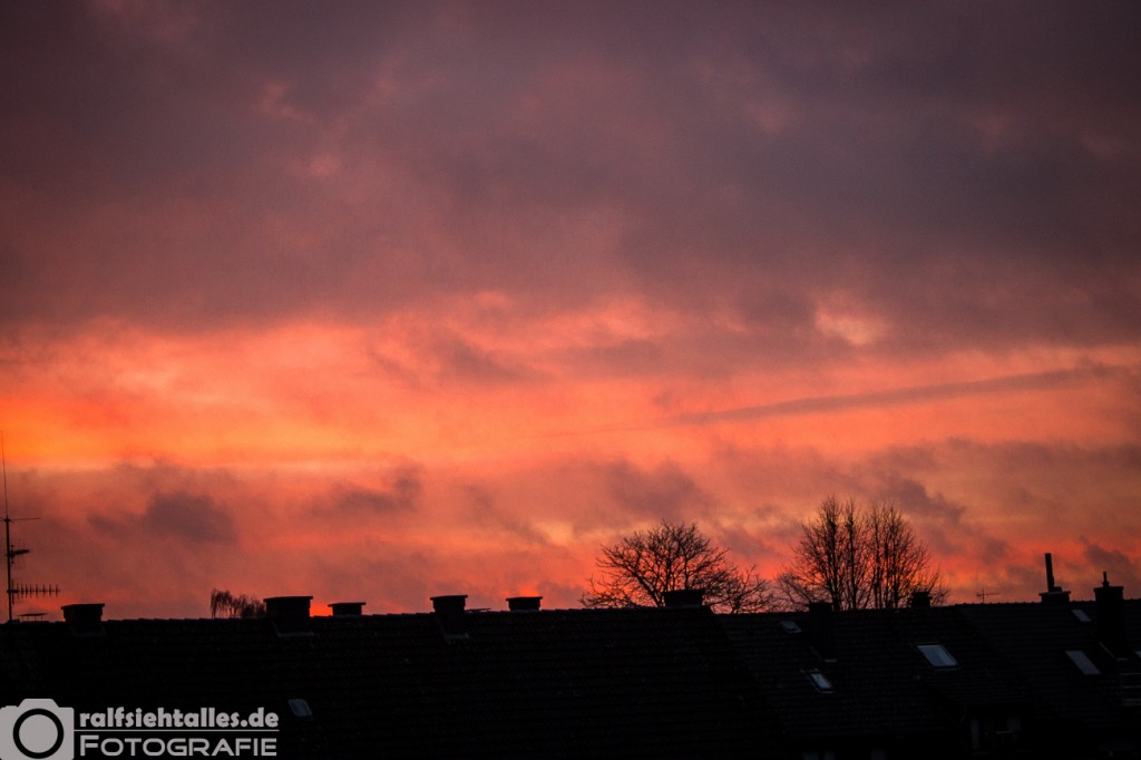 Morgenrot über den Dächern von Münster