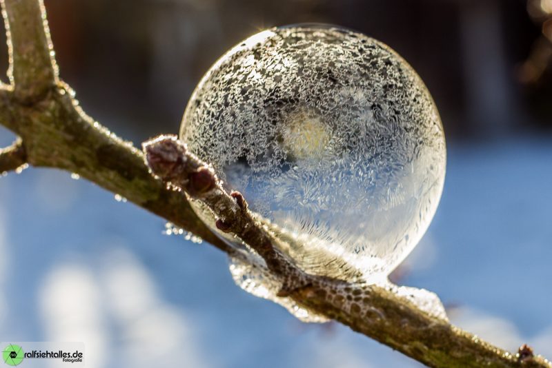 gefrorene Seifenblasen auf einem Ast, sind super um das Licht einzufangen