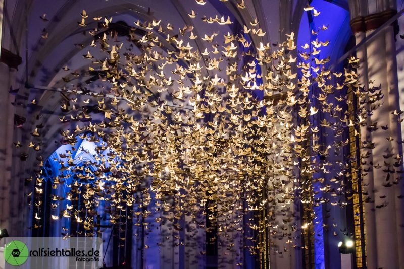 goldener Taubenschwarm in der Überwasserkirche